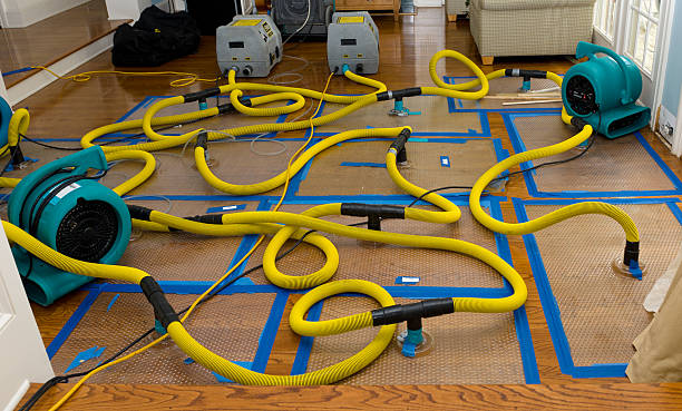 Professional Water Extraction technician working in Ferndale, MI